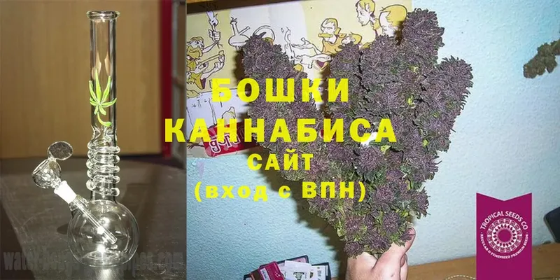 Марихуана SATIVA & INDICA  ссылка на мегу как войти  Нестеровская 